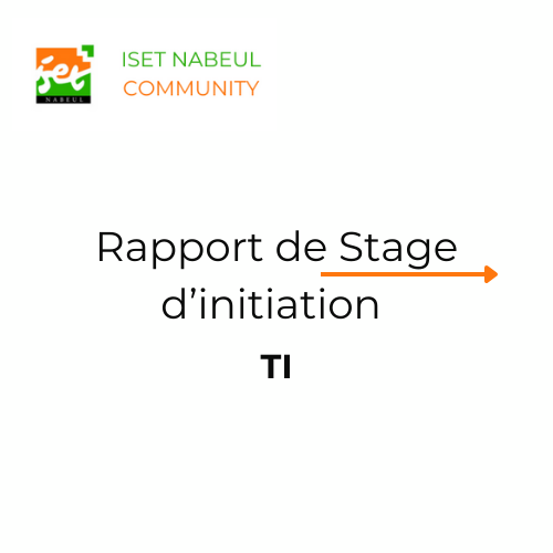 Rapport de Stage d'initiation Technologies de l'Informatique