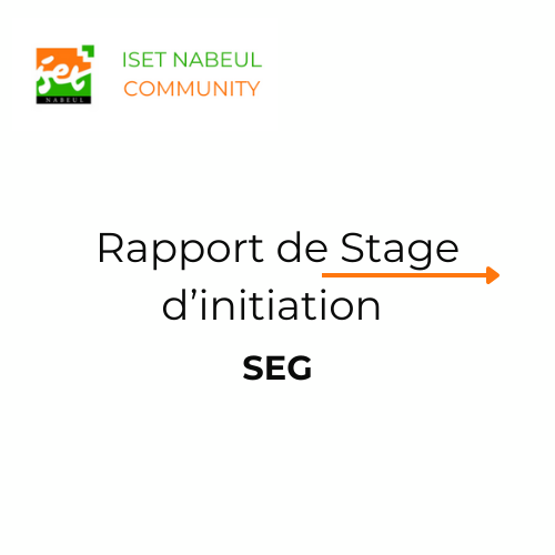 Rapport de Stage d'initiation Scienc​es Économiques et Gestion 