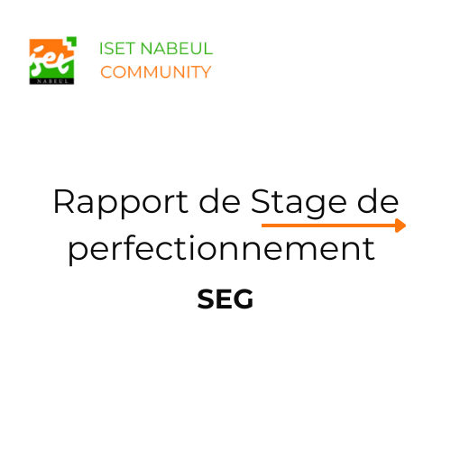 Rapport de Stage de perfectionnement Scienc​es Économiques et Gestion